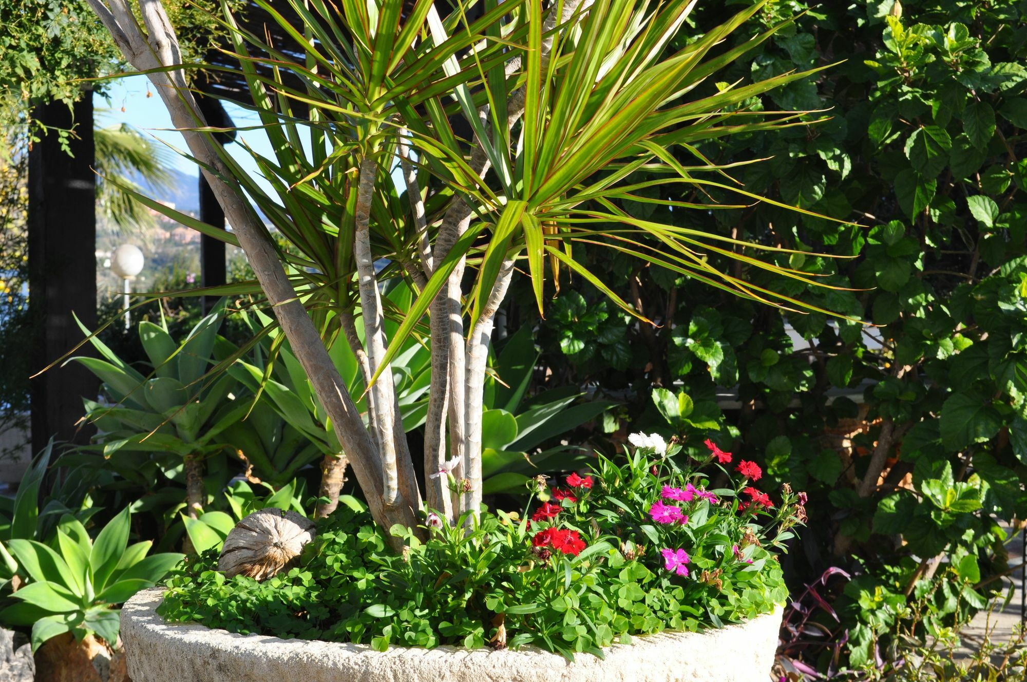 Casa Silca (adults Only)
